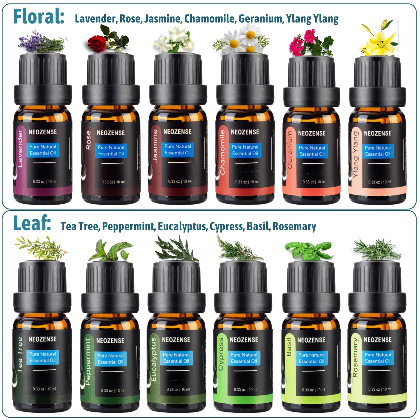 NEOZENSE Aromatherapy Floral & Leaf - 100% Pure Essential Oil Set 12 Pack/10 ml, "Including" a Gray Hard Shell Carrying Case - Peppermint, Tea Tree, Rosemary, Lavender, Eucalyptus, Rose, and More